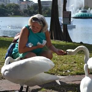 Meet your Posher, Edy